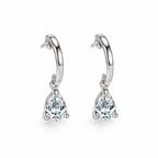 Pendientes Whitney